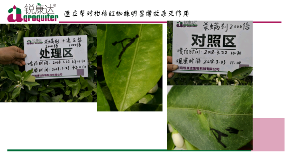 微信图片_20180502151111.png